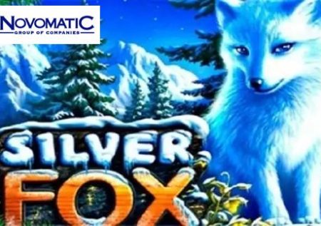 Silver Fox