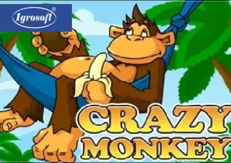 Crazy Monkey